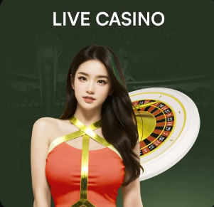 跟队：罗梅罗外侧副韧带没断裂但有伤，无缘热刺本赛季剩余比赛